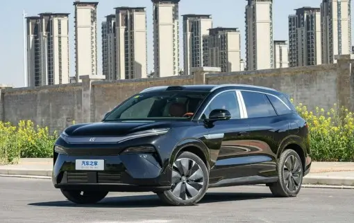 Tang L 2025